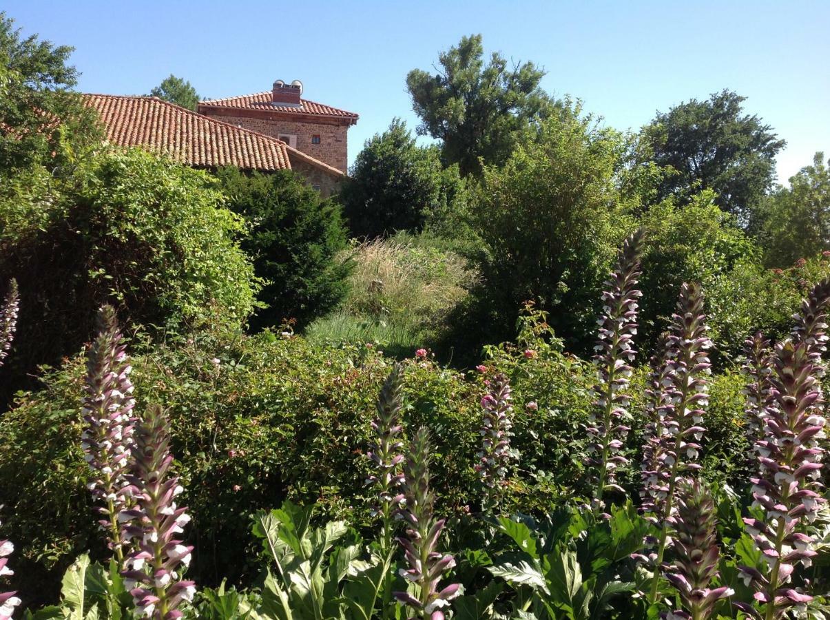 Domaine Charente Glamping Familyroom Le Jardin With External Toilet & Shower House & Outdoor Kitchen Mazières Exteriör bild